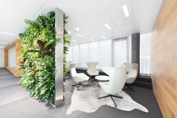 Озеленение помещений искусственными растениями Озеленение помещений искусственными растениями