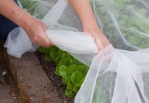 Укрывной материал: как выбрать и правильно использовать