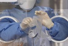 Reuters: вирус птичьего гриппа может стать более опасным, чем коронавирус — Новости на Вести.ru