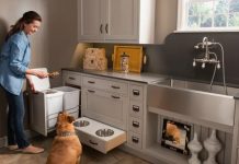 Технологии чистоты: как превратить квартиру с питомцем в безопасную зону