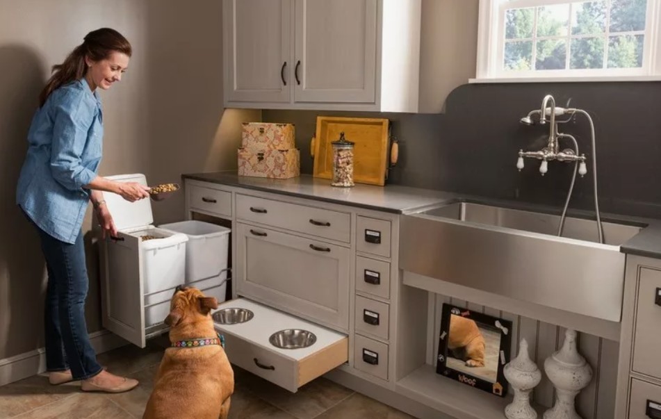 Технологии чистоты: как превратить квартиру с питомцем в безопасную зону