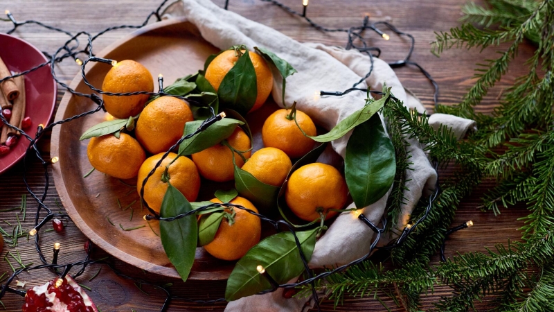 Абхазия передала тонны мандаринов для соцучреждений Петербурга