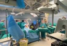 Боткинская больница уже 115 лет спасает жизни, теперь и с помощью роботов — Новости на Вести.ru