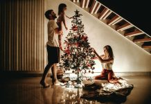 Елка, сосна или пихта: как выбрать новогоднее дерево — советы эксперта