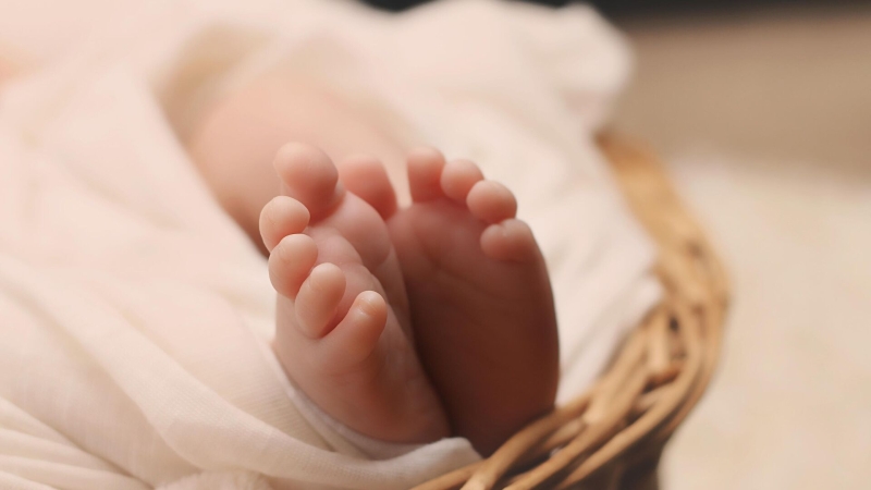 Голикова отметила рост рождаемости в 26 регионах