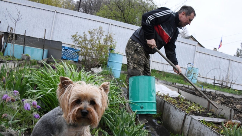 Как оформить участок по дачной амнистии: советы экспертов