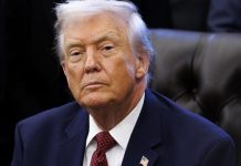 Кошки-мышки, деньги, плаха: Трамп в любой момент может отправить Зеленского на эшафот. Чего ждет?