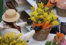 Международный женский день 8 марта: суть и традиции праздника