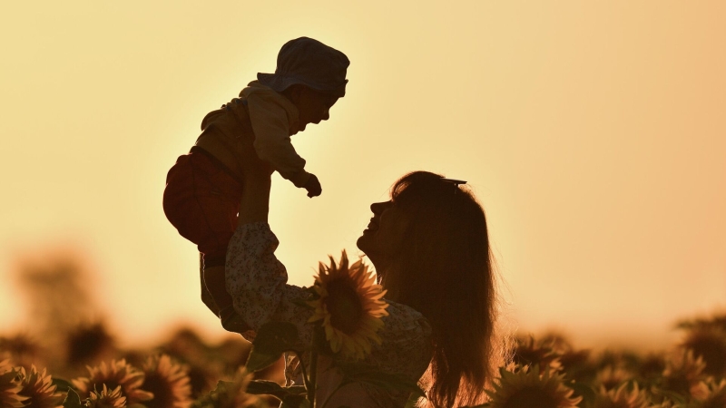 Пособие по беременности и родам в 2025 году: как получить, размер выплат