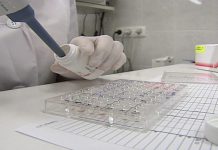 В ЦЯМ Улан-Удэ начнут производить препарат для диагностики рака головного мозга — Новости на Вести.ru