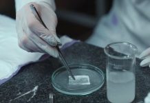 В НИТУ МИСИС разработали инновационную многофункциональную раневую повязку — Новости на Вести.ru