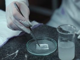 В НИТУ МИСИС разработали инновационную многофункциональную раневую повязку — Новости на Вести.ru