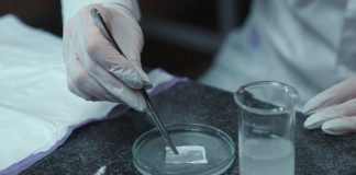 В НИТУ МИСИС разработали инновационную многофункциональную раневую повязку — Новости на Вести.ru