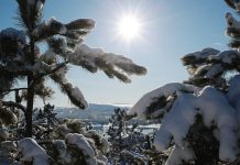 Зимнее солнцестояние 2024 году точное время и дата