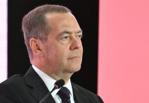 Цифровизация госуслуг в России продолжит расширяться, заявил Медведев