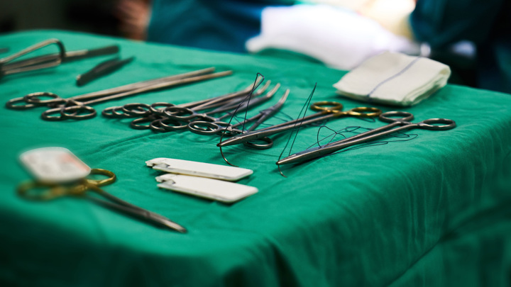 Глава офиса ВОЗ в РФ: пересадка людям органов животных &ndash; это и прорыв, и вызов - Новости на Вести.ru