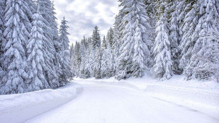 Обморожение и переохлаждение: признаки, степени, первая помощь, что нельзя делать, профилактика и лечение