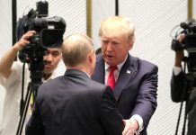 Пол Крейг Робертс: Долготерпение Путина в отношении закусившего удила Трампа толкает мир к большой войне