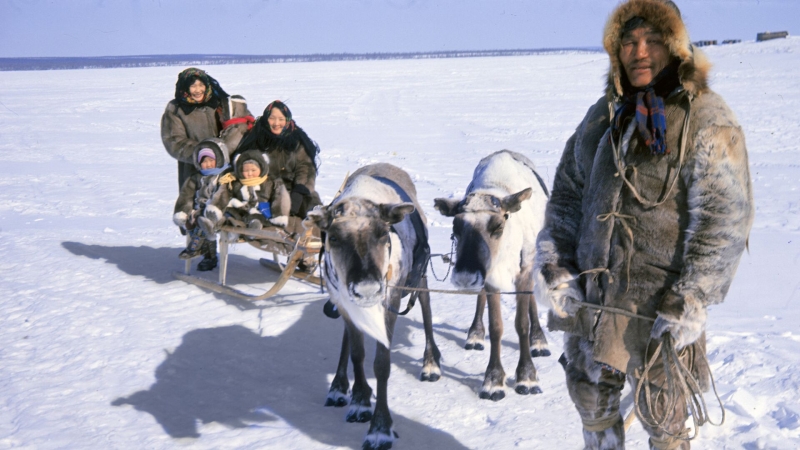 Путин подписал закон о подтверждении кочевого образа жизни