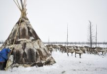 Путин подписал закон о подтверждении кочевого образа жизни