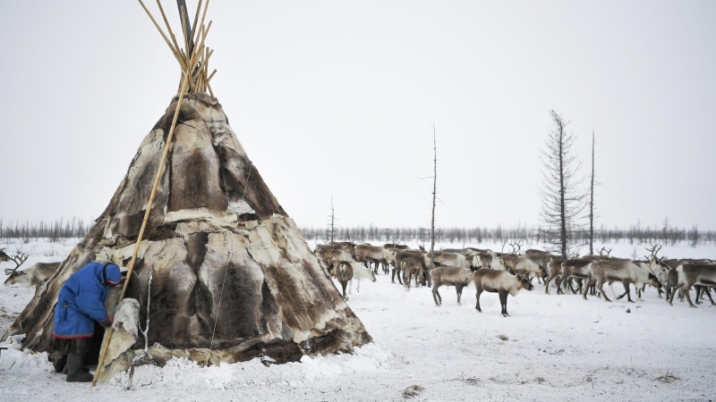Путин подписал закон о подтверждении кочевого образа жизни