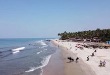 Роспотребнадзор дал туристам рекомендации для профилактики вируса Нипах — Новости на Вести.ru