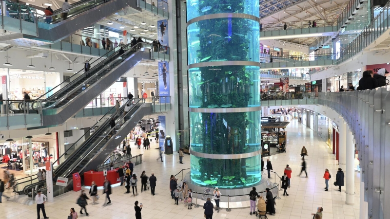 В московском ТЦ "Авиапарк" прокомментировали видео с птицами в сетках