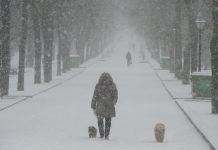 В Москве в воскресенье ожидается самый холодный день с начала зимы