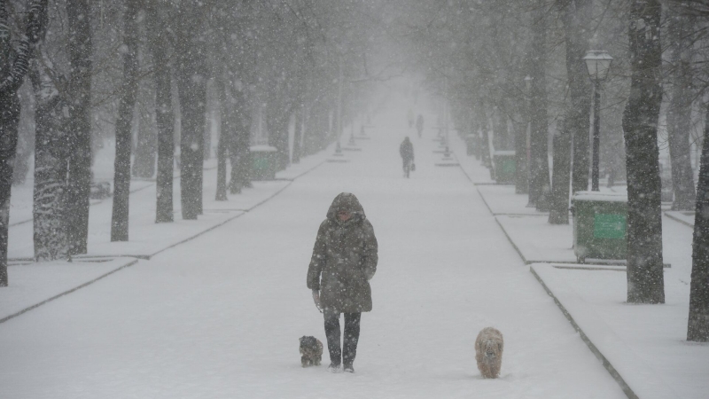 В Москве в воскресенье ожидается самый холодный день с начала зимы
