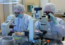 В подмосковную больницу попал пациент с предварительным диагнозом «оспа обезьян» — Новости на Вести.ru