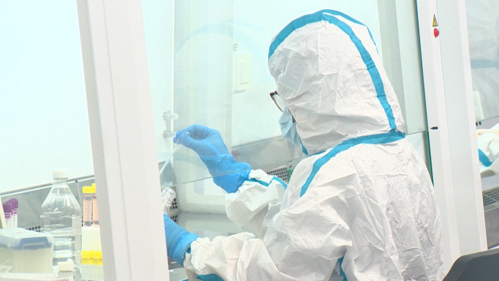 В РФ через три года могут появиться экспресс-тесты по выявлению рака — Новости на Вести.ru