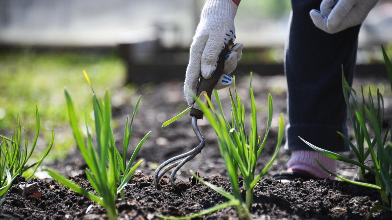 В России планируют уточнить требования к земельным участкам
