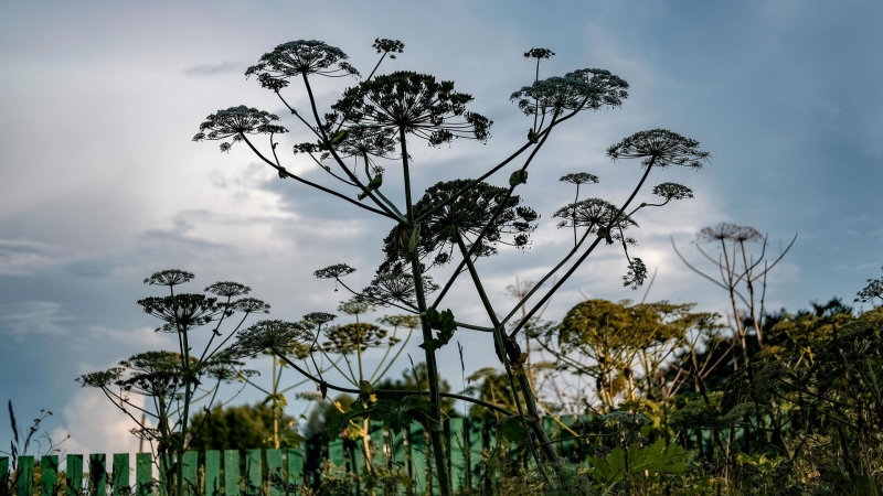 В России планируют уточнить требования к земельным участкам