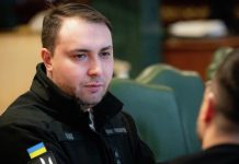 В Совфеде прокомментировали назначение Буданова* главой офиса Зеленского