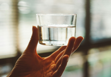 Врач: после застолья поможет теплая вода, компоты из сухофруктов и шиповника — Новости на Вести.ru