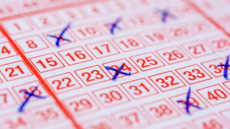 Житель Липецкой области выиграл в лотерею благодаря рисунку девушки