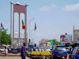 Посол Воропаев: РФ оптимистично оценивает партнерство с Нигером в энергетике — Новости на Вести.ru