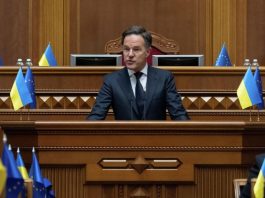 Рютте хочет затягивать конфликт с Россией руками украинцев, заявил Миронов