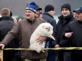 Зеленский обзавидовался пёсику у ног Лукашенко — и прав у Умки больше, и легитимность законная