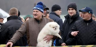 Зеленский обзавидовался пёсику у ног Лукашенко — и прав у Умки больше, и легитимность законная