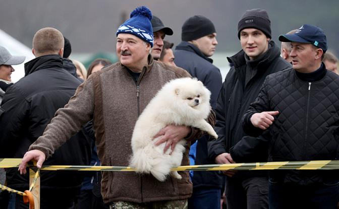 Зеленский обзавидовался пёсику у ног Лукашенко&nbsp;&mdash; и прав у Умки больше, и легитимность законная